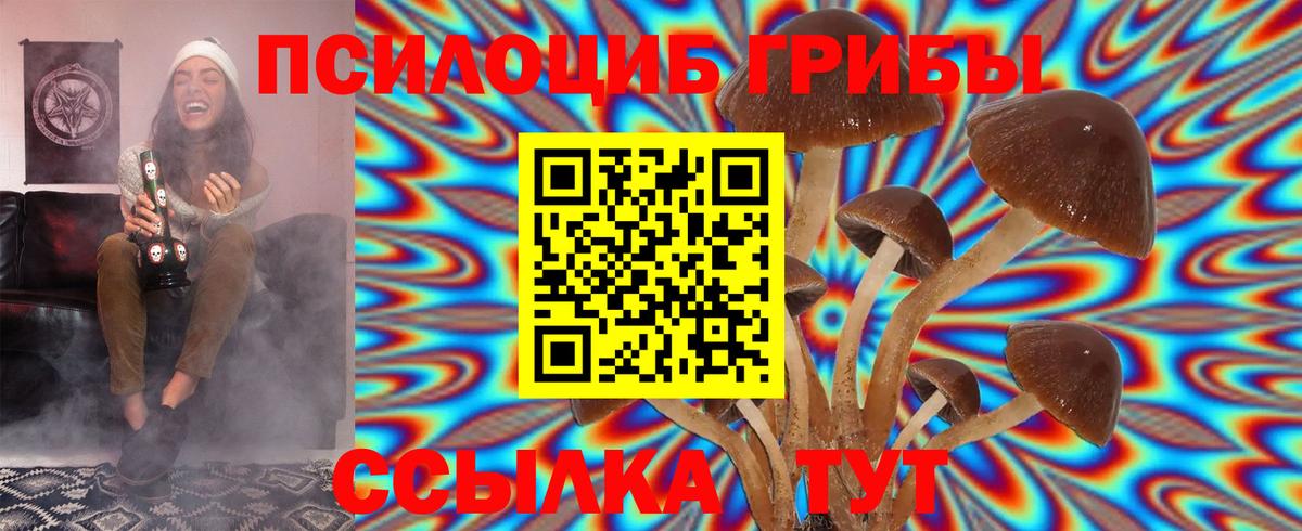 Электросталь  Псилоцибиновые грибы мицелий  Вход с VPN  Псилоцибиновые грибы Cubensis 