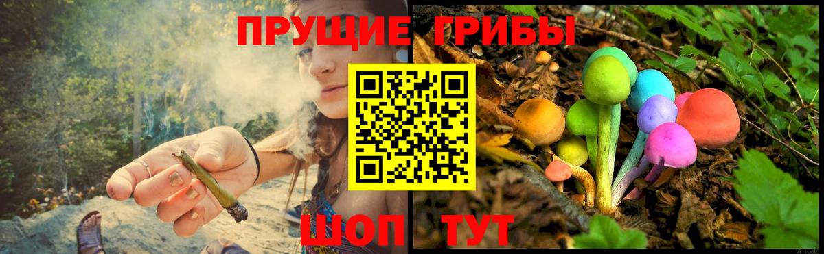 Псилоцибиновые грибы MAGIC MUSHROOMS Электросталь